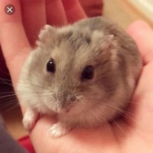 Meet your Posher, ღ casey